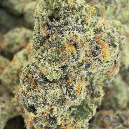 Caramel Pop - Sativa 3.5g
