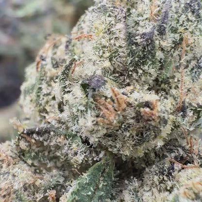 Lemon Pound Cake - Sativa (Exotic) 3.5g