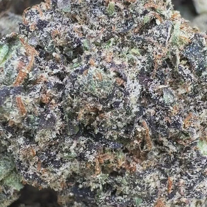 Piña Pop - Hybrid (Exotic) 3.5g