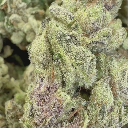 Daydream Diesel - Sativa 3.5g