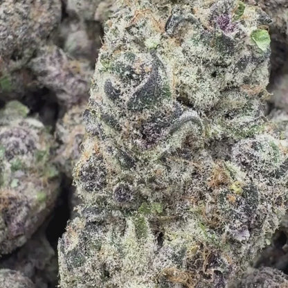 Tres Leches - Hybrid 3.5g