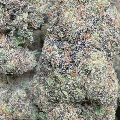 Permanent Marker - Hybrid 3.5g