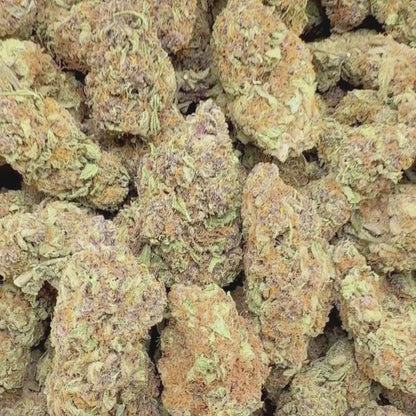 Berry Surge - Sativa 3.5g