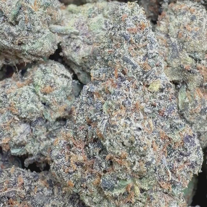 Biscotti - Hybrid (Exotic) 3.5g