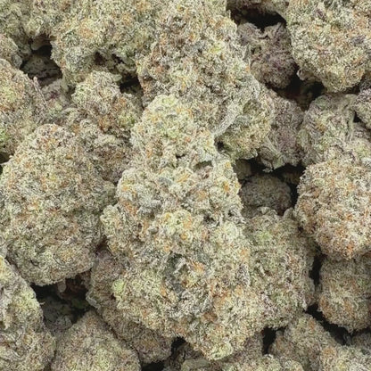 Black Truffle - Hybrid (Exotic) 3.5g