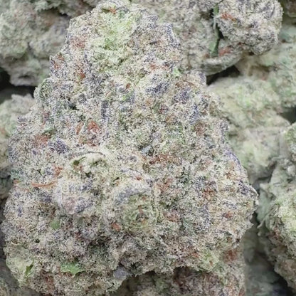 Guava Cake  - Sativa 3.5g