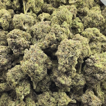 White Cherry Gelato - Hybrid 3.5g