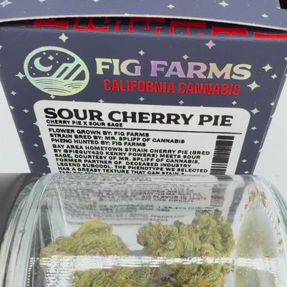 Fig Farms - Sour Cherry Pie - Hybrid 3.5g