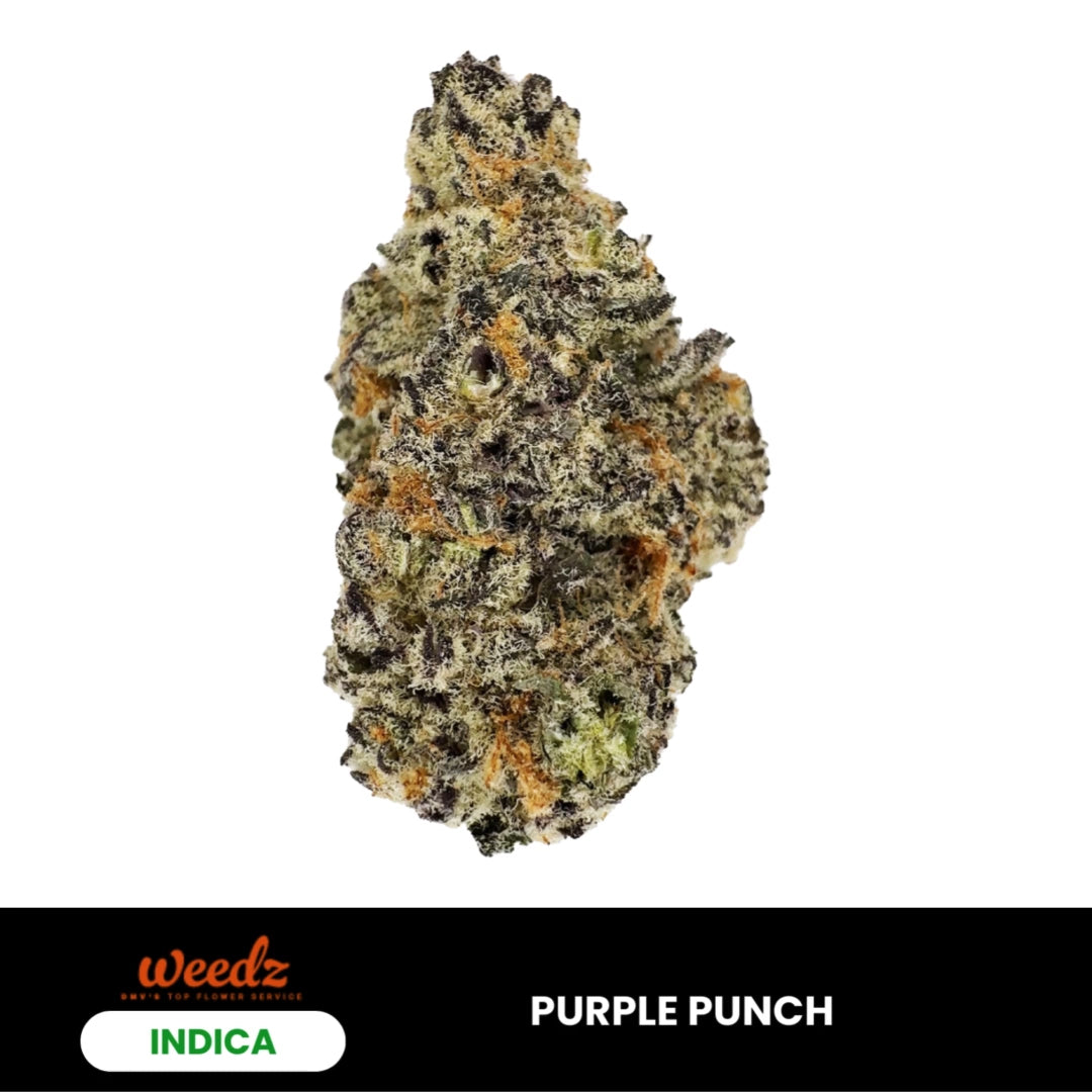 Purple Punch - Indica 3.5g
