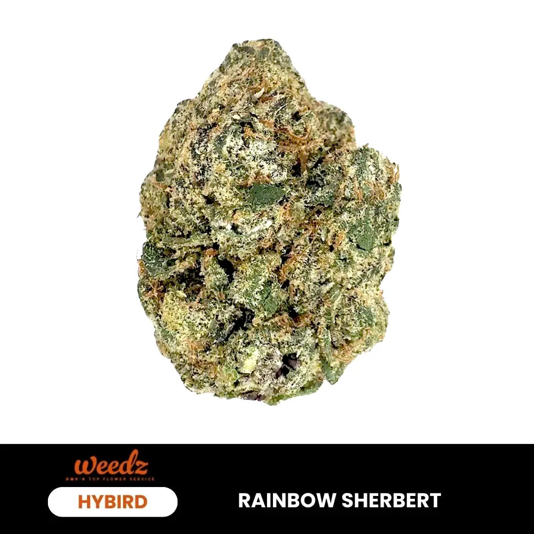 Rainbow Sherbert - Hybrid 3.5g