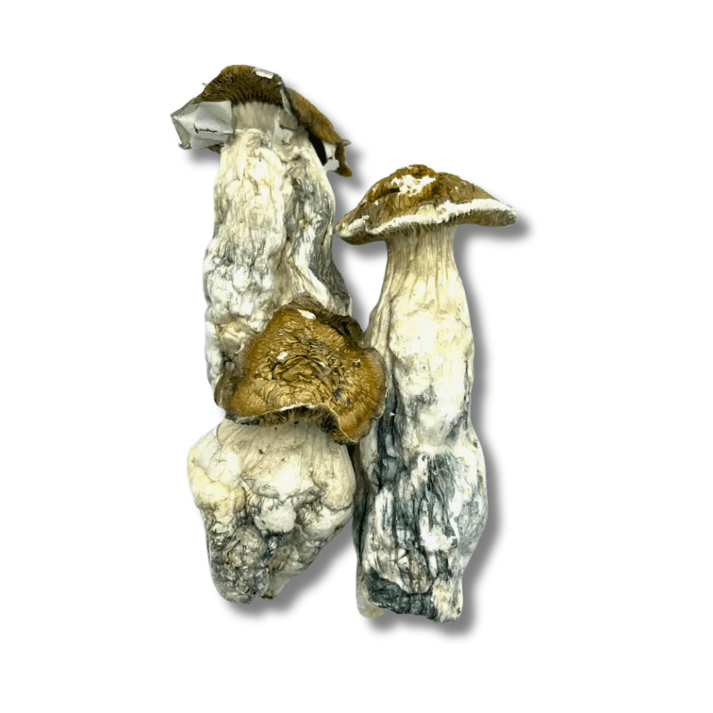 Thrasher Mushrooms 3.5g - Weedz DC - Virginia and DC Delivery