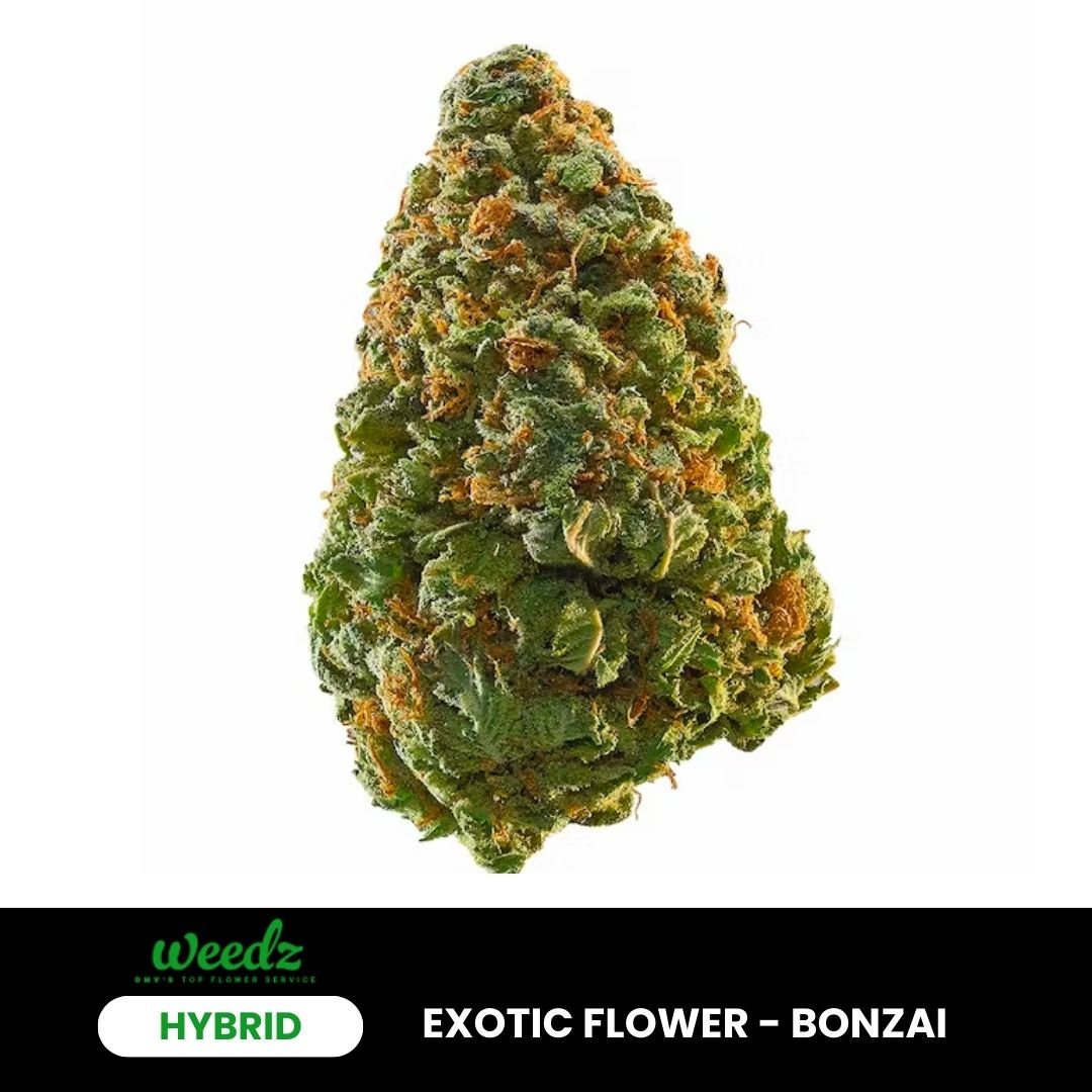 Bonsai OG - Sativa (Exotic) - Weedz DC - Virginia and DC Delivery