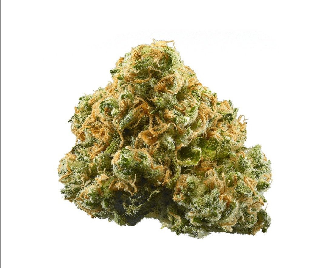 Geisha Haze - Sativa (Exotic) 3.5g - Weedz DC - Virginia and DC Delivery