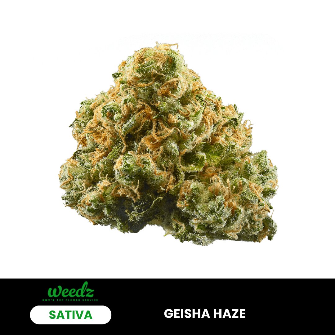 Geisha Haze - Sativa (Exotic) - Weedz DC - Virginia and DC Delivery