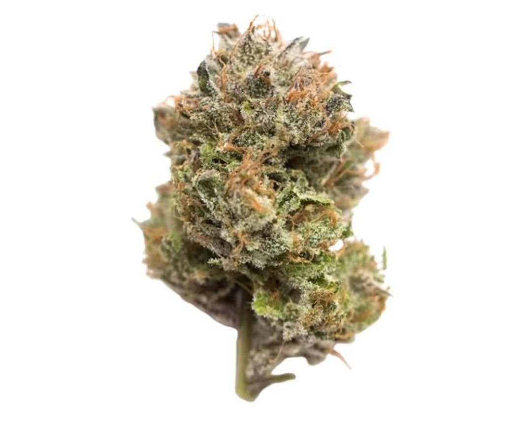 Ivory Gobstopper - Indica - Weedz DC - Virginia and DC Delivery