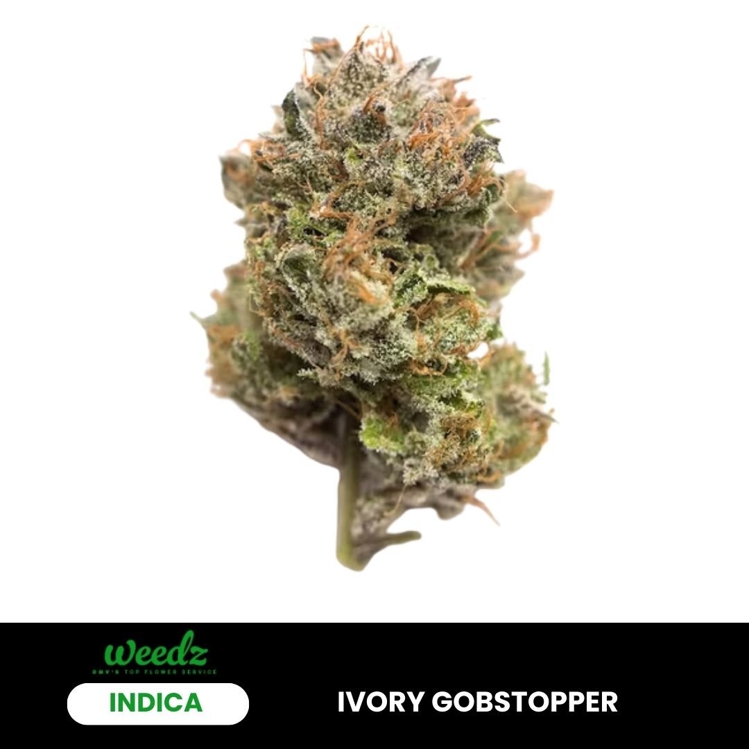 Ivory Gobstopper - Indica - Weedz DC - Virginia and DC Delivery