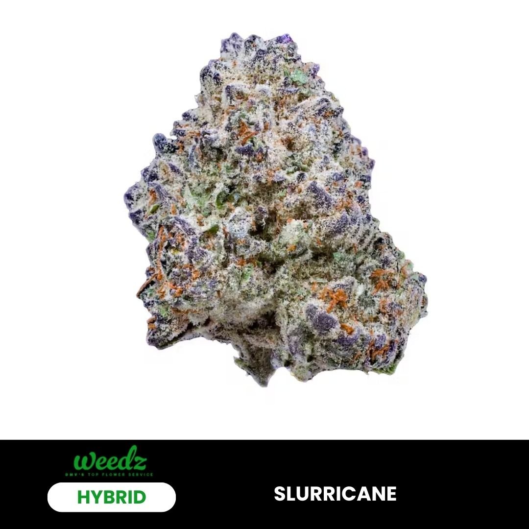 Slurricane - Hybrid - Weedz DC - Virginia and DC Delivery