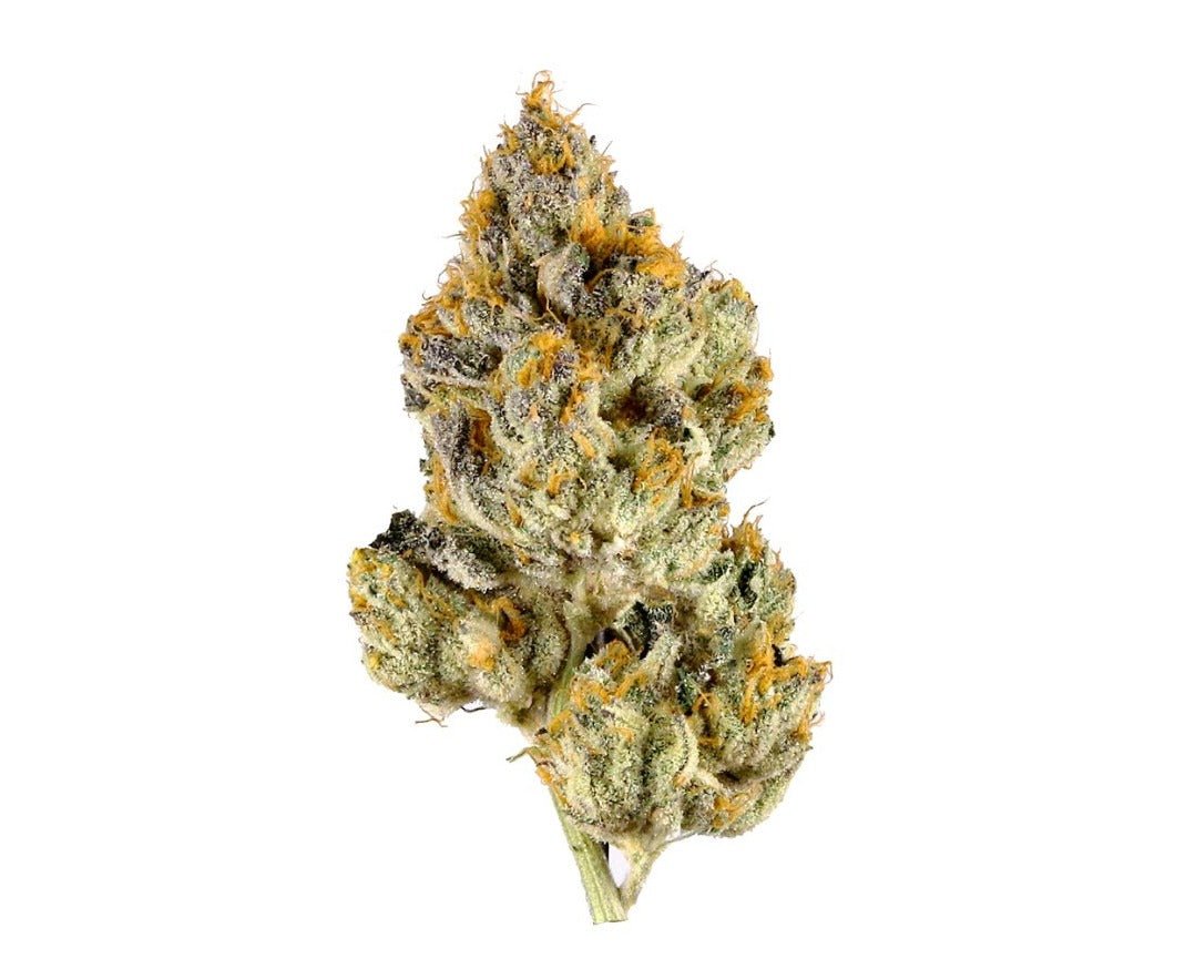 Sugar Storm - Hybrid (Exotic) 3.5g - Weedz DC - Virginia and DC Delivery