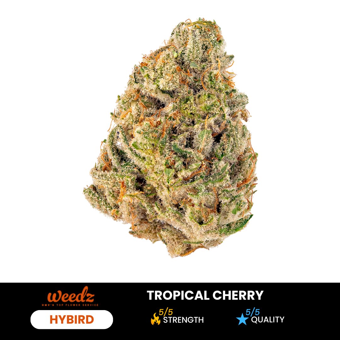 Tropical Cherry - Weedz DC - Virginia and DC Delivery