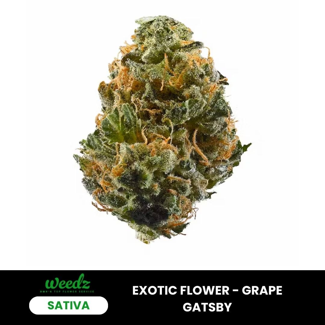 Vineyard Gatsby - Sativa (Exotic) - Weedz DC - Virginia and DC Delivery